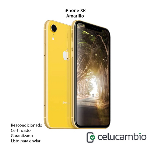 iPhone XR