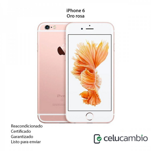 iPhone 6S Plus
